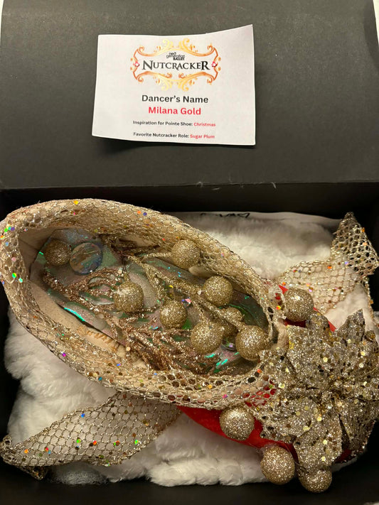 Decorated Pointe Shoe "Buy Now, Take Now"