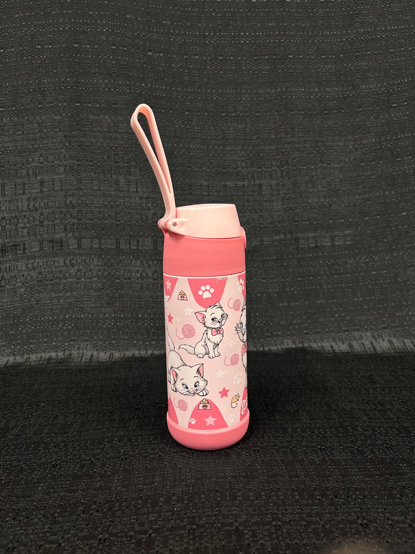 Aristocats Water Bottle